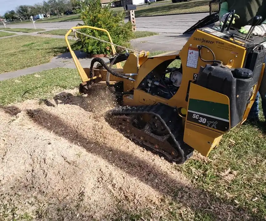 Stump grinder chewing out a stump